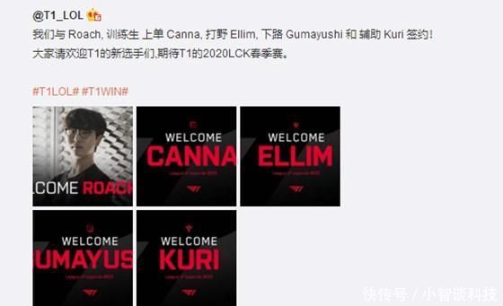 来运动生涯 来运动生涯