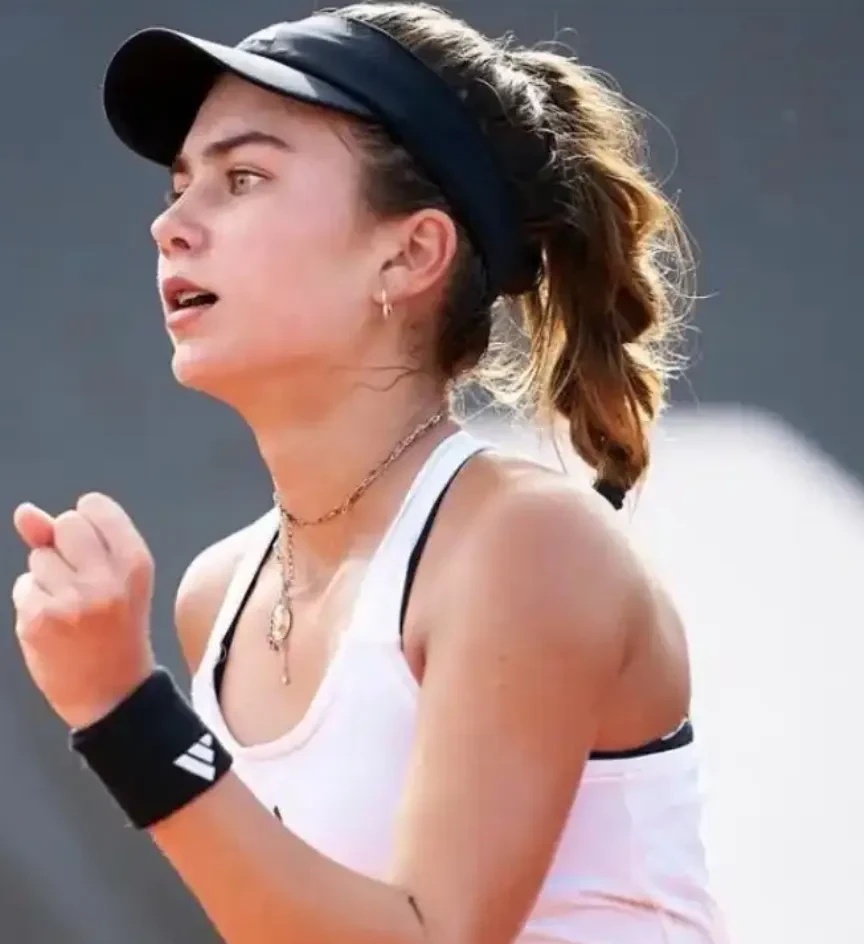 会寻求新的 会寻求新的