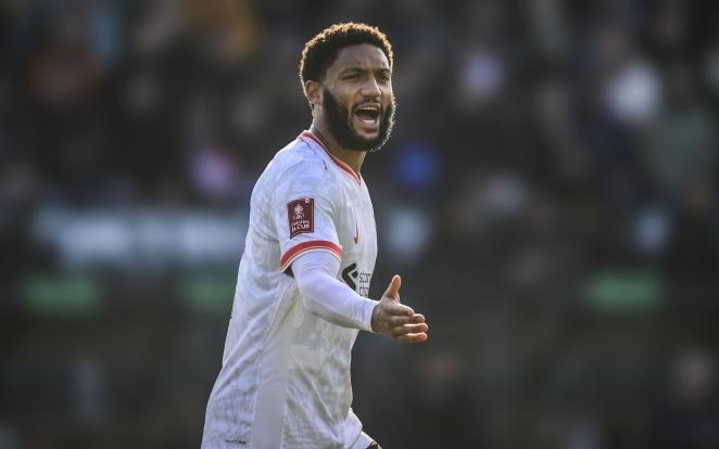 圳明金海男 圳明金海男