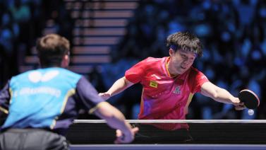 球迷的神经 球迷的神经