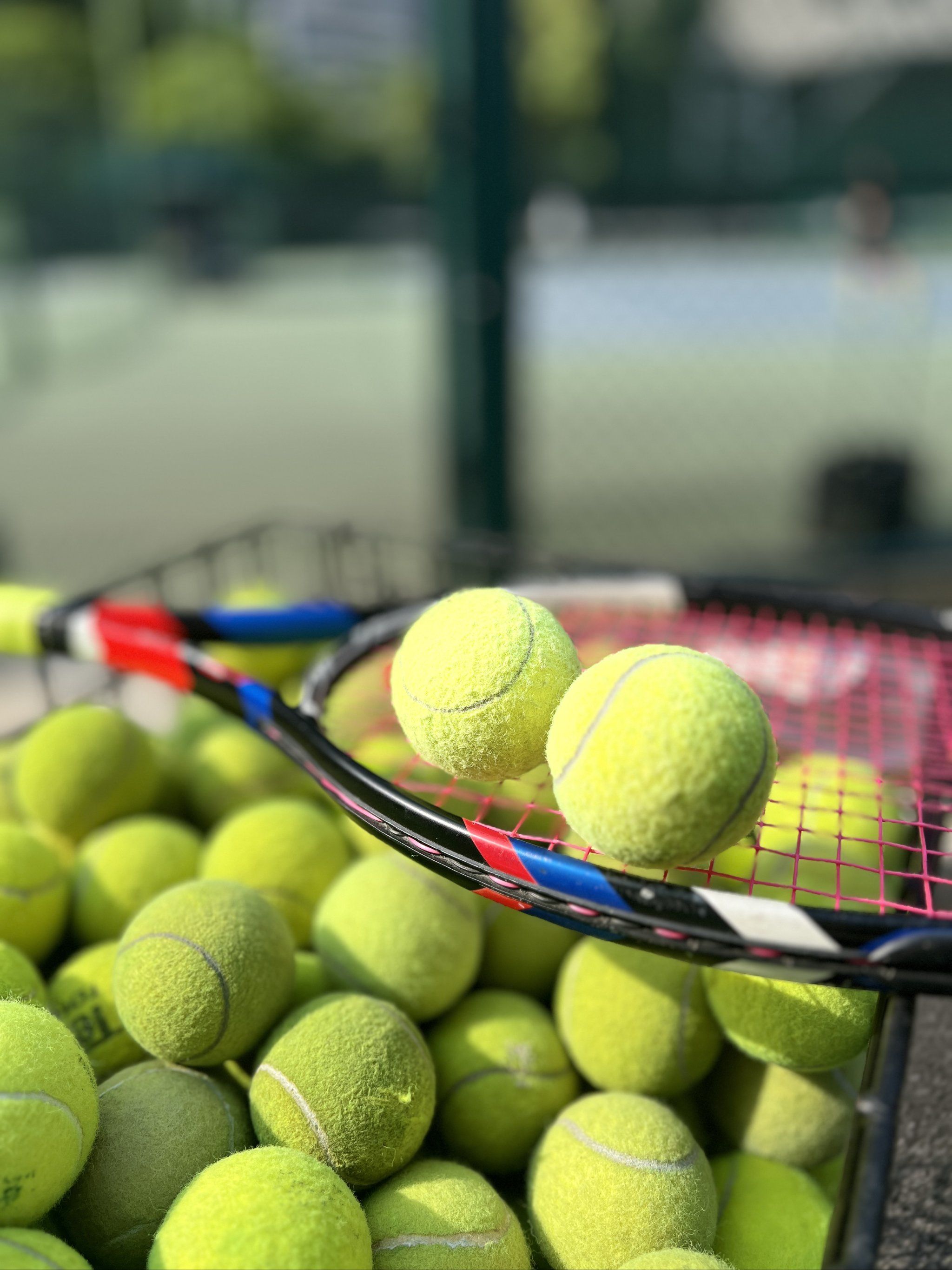 在比赛中 在比赛中