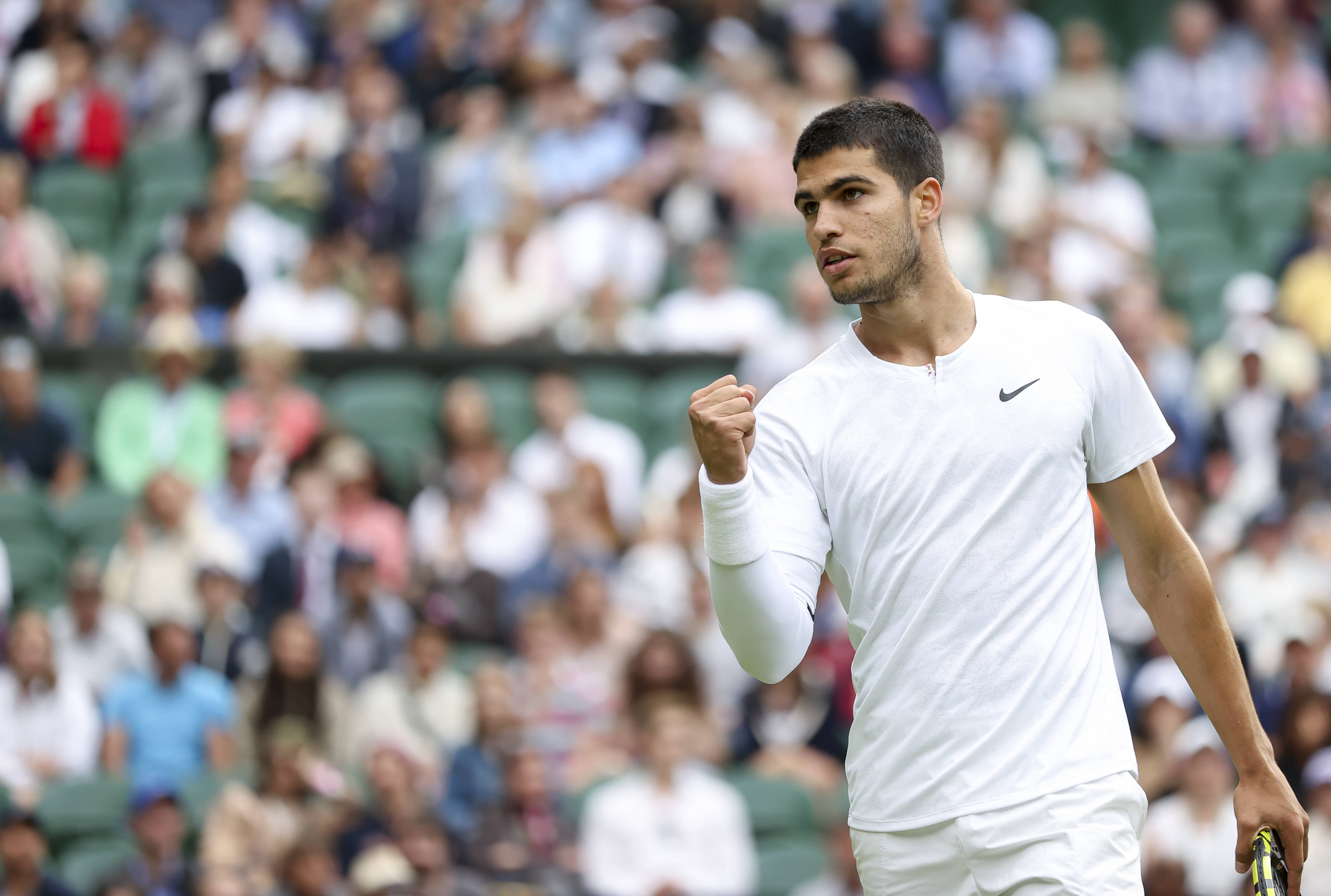 支持与贡献 支持与贡献