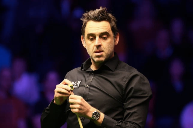 号召力和票 号召力和票